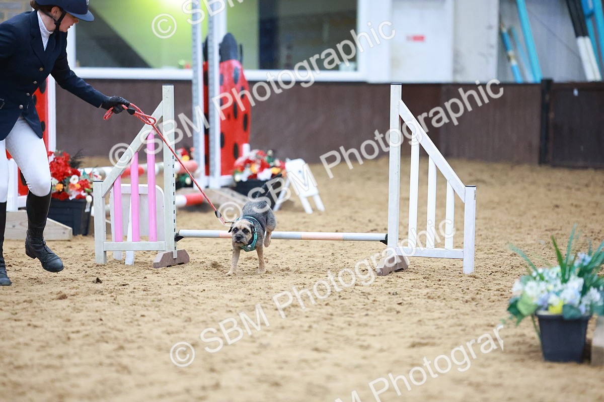 SBM_001652 - Class 3 - Horse & Hound (60cm)