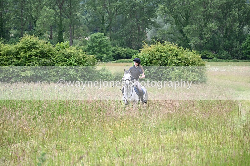WJ6_7981 - Camera 1 Gallops