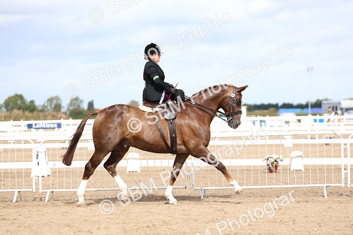 SBM_03283 - Class 22 - SSA Equitation (any age)