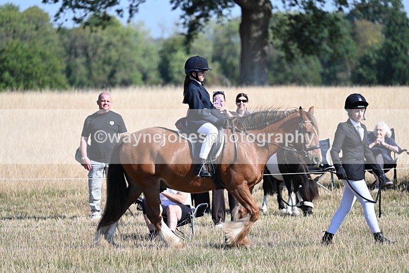 WJ7_3051 - Class 8 Ridden Tack & Turnout