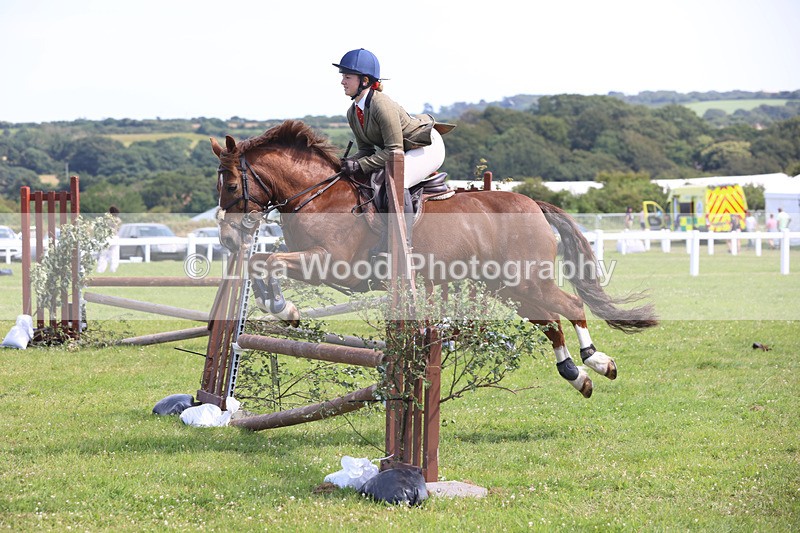 JPP_3680 - Class 23: Working Hunter 80cm