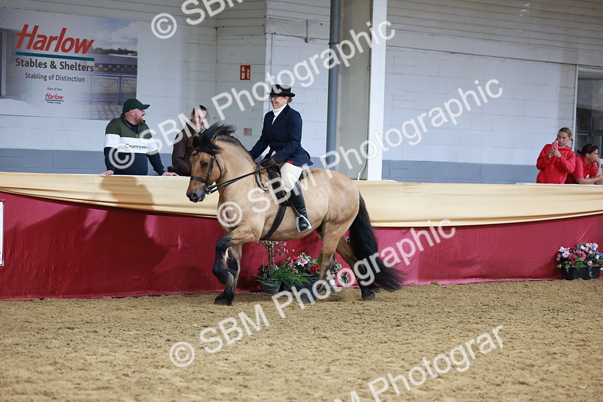 SBM_18588 - Class 952 - M&M Ridden Supreme Final