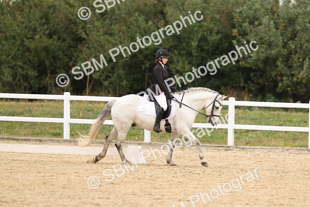 SBM_01075 - Class 8 - Novice 27 Champs