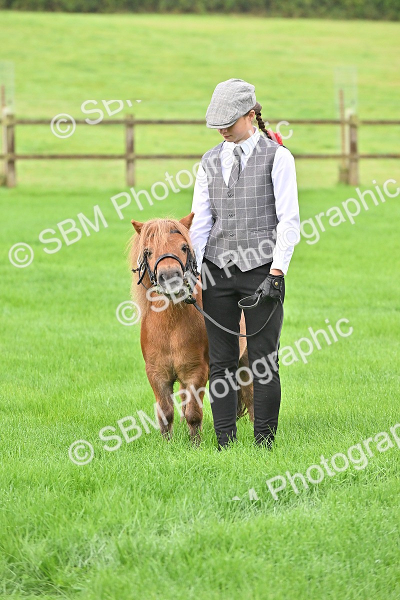 SBM_32632 - S15 - Top Turnout In Hand