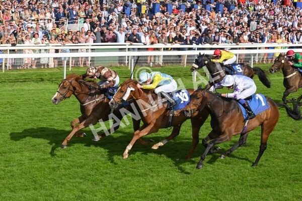 yr21052022r7-34 - Race 7: 5:15pm Reg Bond Always and Forever Stakes