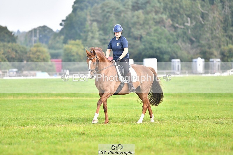 230817-092810-02551 - Abbie's 1st Group - Dressage