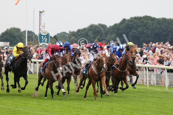 yr19082021r3-26 - Race 3 3.00pm Clipper Logistics Stakes