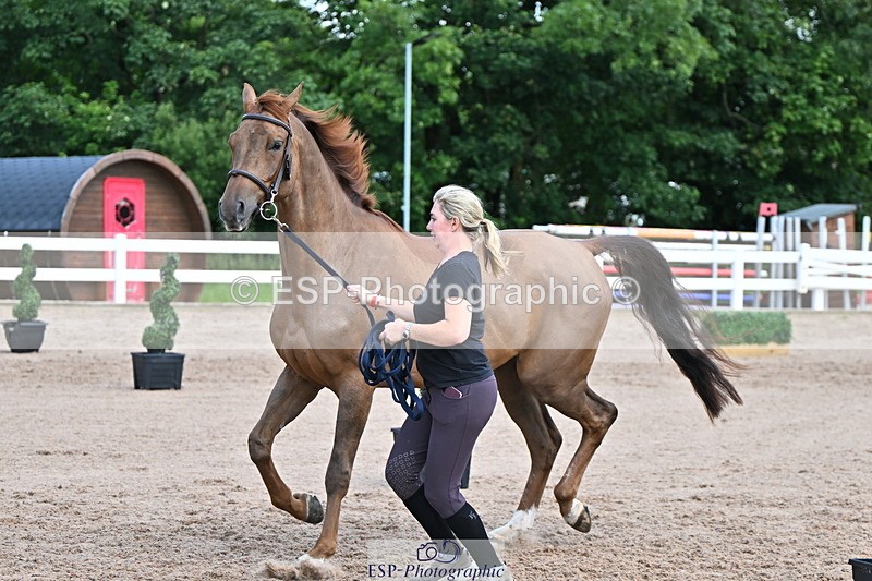 240718A-105253-01294 - Trot Up 12pm to 1pm