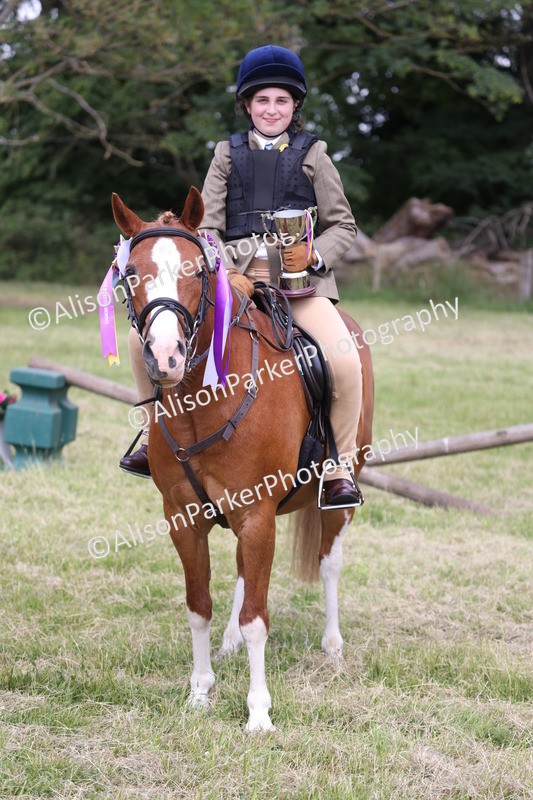 20260614-2173 - Class 21 - Novice Working Hunter Pony