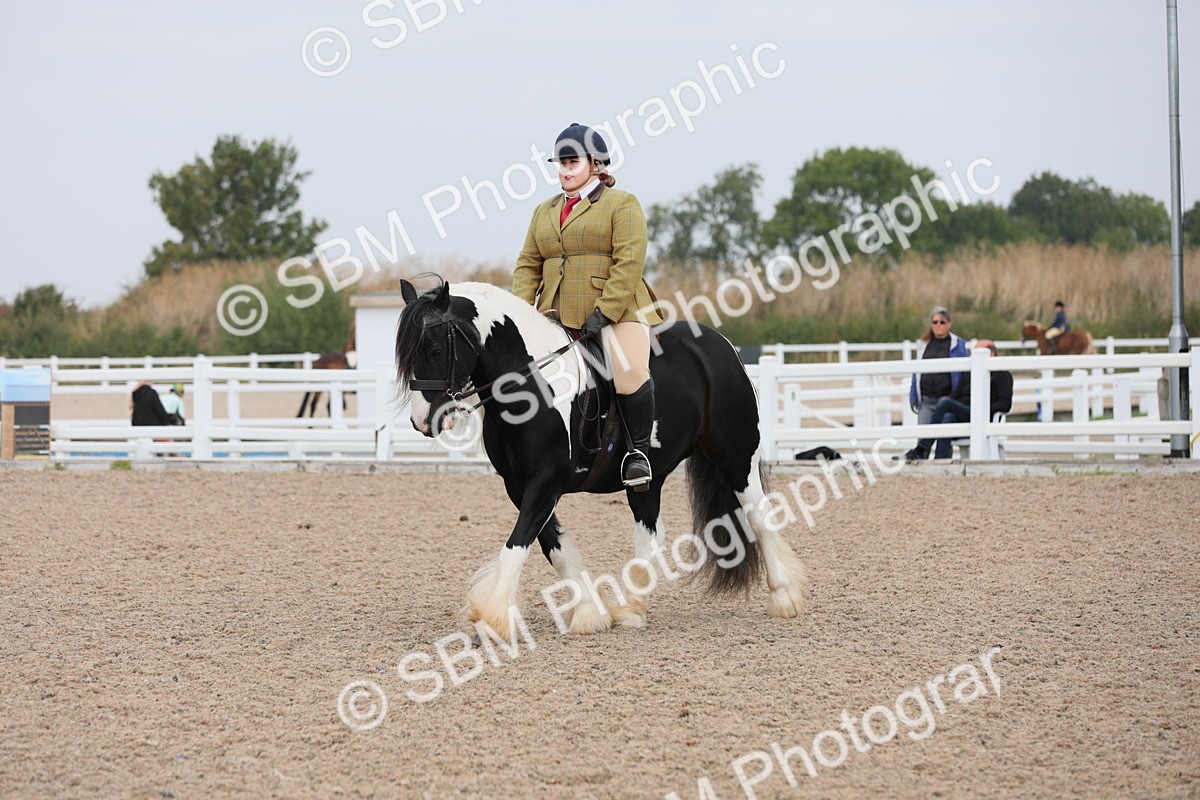SBM_12753 - Class 307 Ridden Coloured Pony