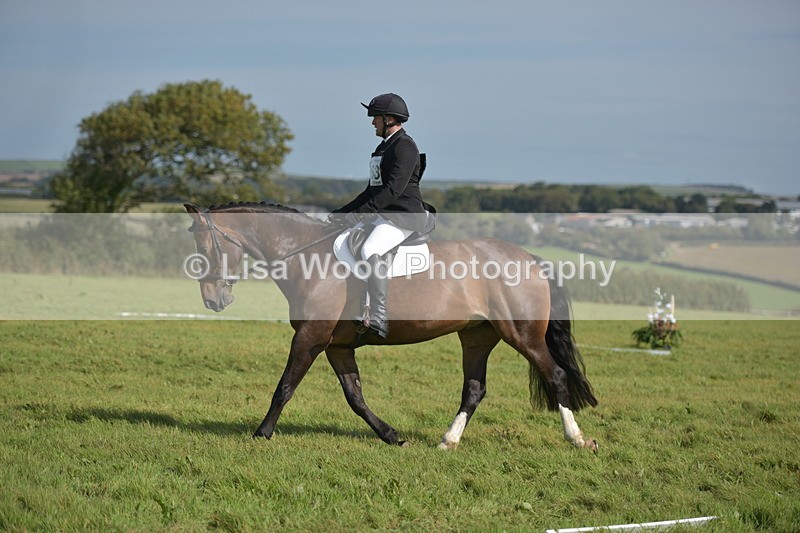 RAY_8025 - Class 2B: Trekenning Open: Dressage