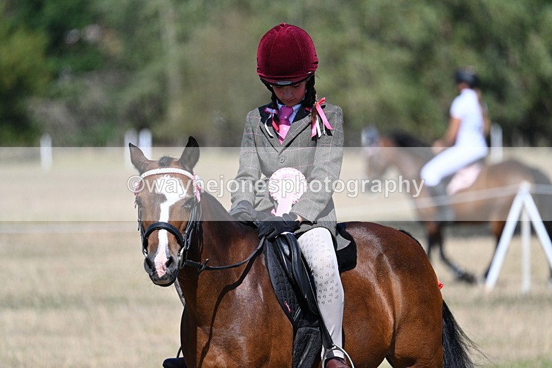 WJ7_4186 - Class 9 Mountain & Moorland Ridden