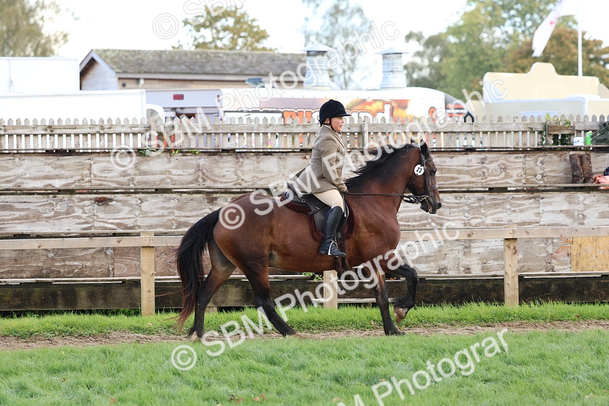 SBM_47668 - S28 - Veteran Ridden
