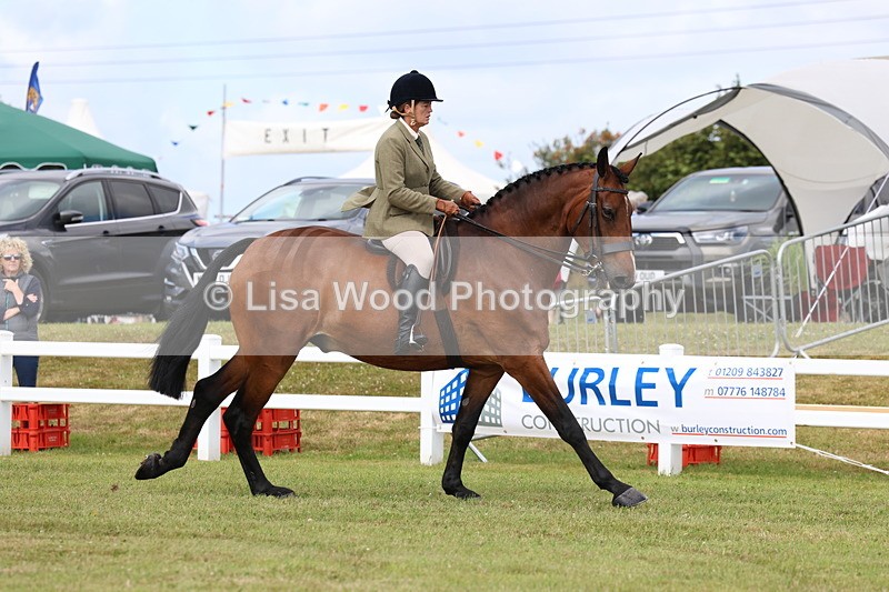 3E7A9321 - Class 4: Rising Star M/H Hunter