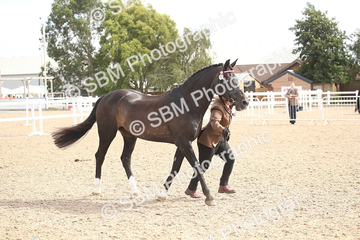 SBM_23464 - Class 604 - 2026 - Area IH Diamond