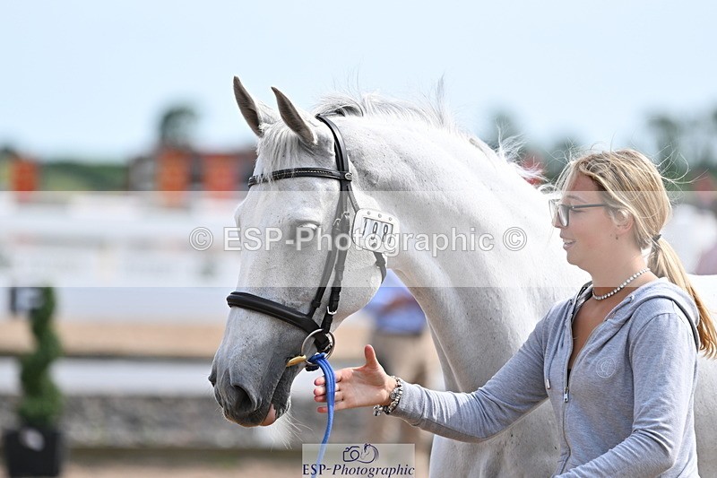 240717A-161528-03389 - Trot Up 4pm to 5pm