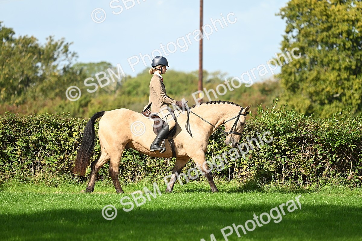 SBM_01258 - S2 - TSR Ridden Horse Showing