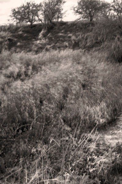  - Black and White