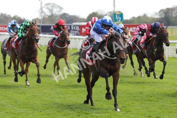  - Race 3 2.40pm The Matchbook Betting Podcast Hambleton Stakes