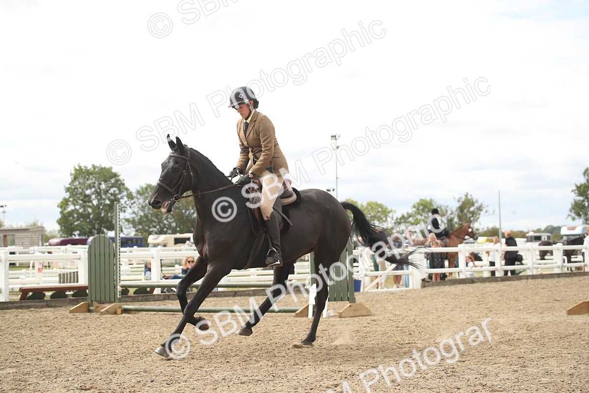 SBM_16769 - Class 507b - Working Veteran 60cm (20+)