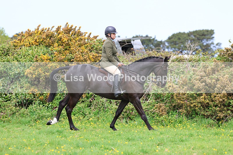 3E7A1324 - Class 7: Ridden Hunter Type