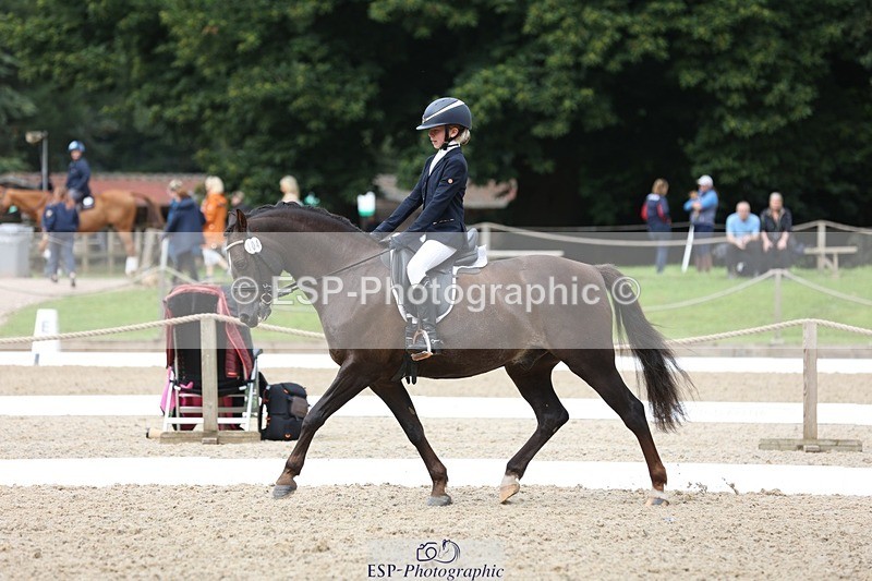 230812-103605-03270 - Cls 5 Novice Bronze Start to 10.55 break