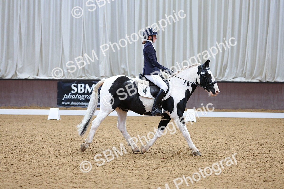 SBM_002604 - Novice