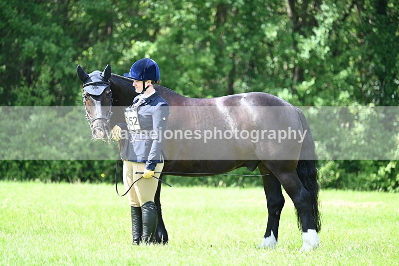 WJ7_1443 - Class 11 Condition & Turnout