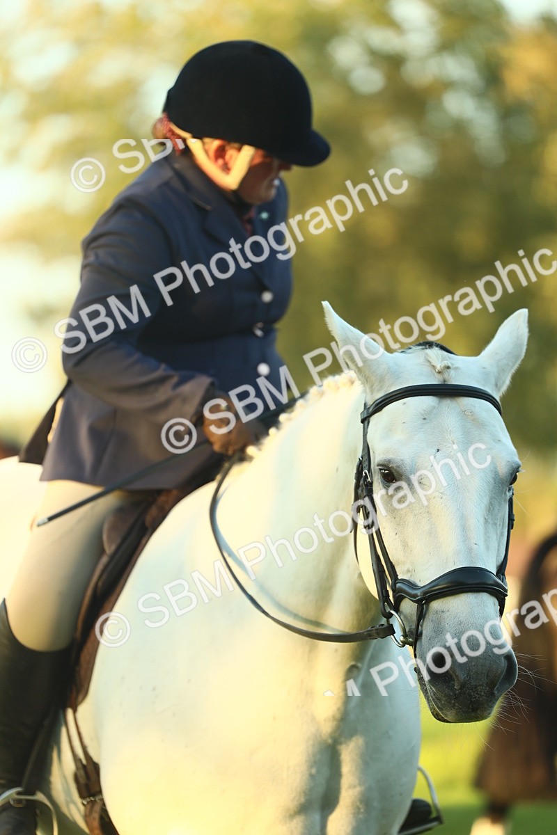 SBM_56510 - S14 - Riding Club Horse