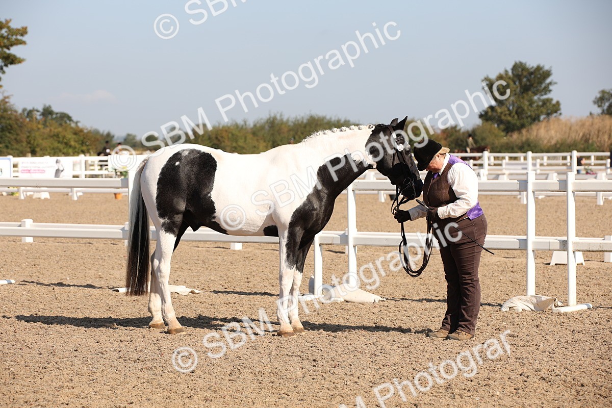 SBM_01504 - Class 15 IH Coloured