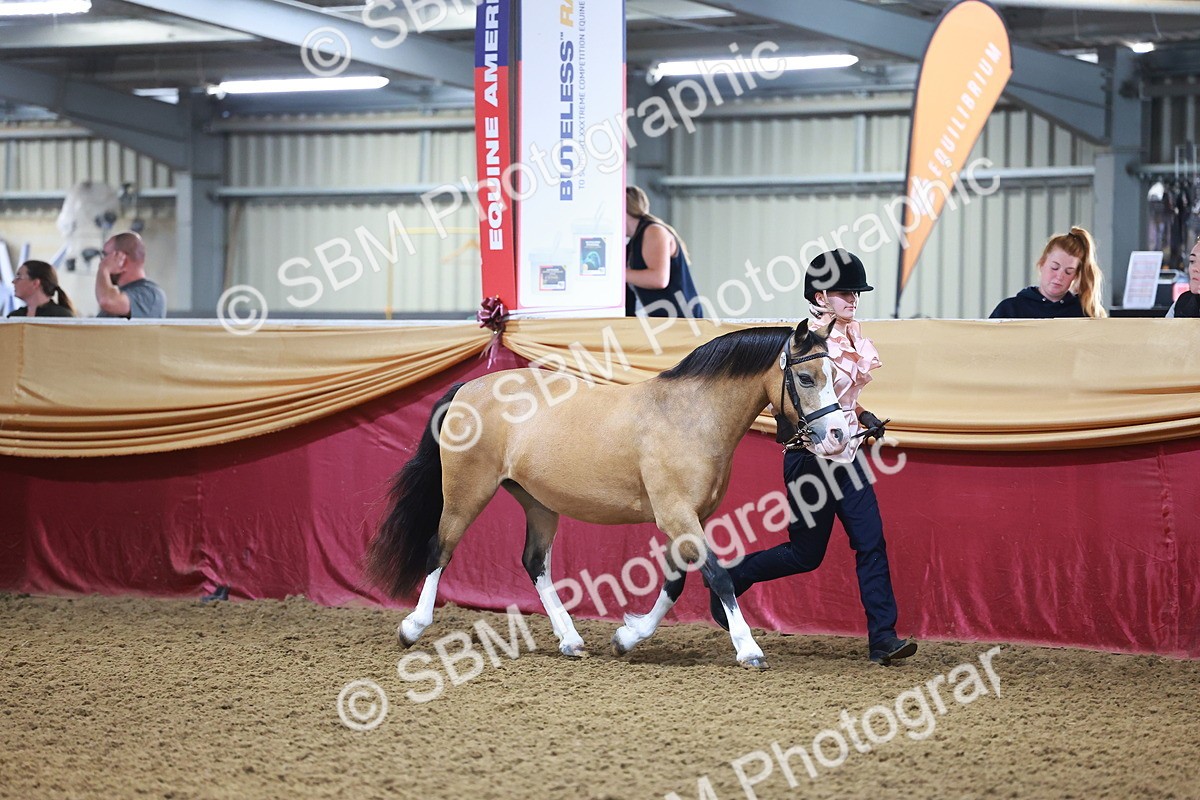SBM_14673 - Class B - Junior Champ 11 to 16 Years