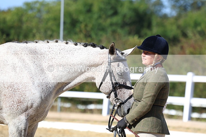 3E7A5542 - Class 9: Open Ridden Hunter