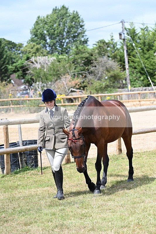 WJ7_1771 - Class 4a Prettiest Mare 14.2hh and over hand