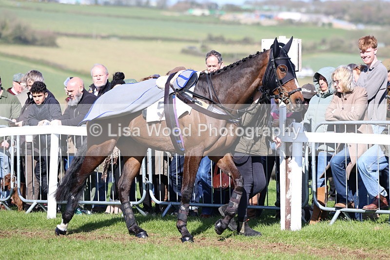 3E7A5586 - Race 6: Maiden (NWFAA)