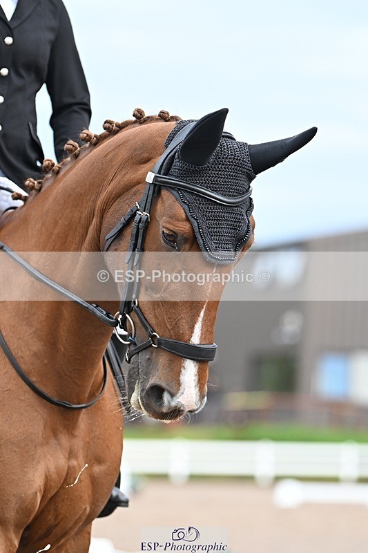 250907-105047-07020 - 015-Annie.MannLittle.Lady.Guinevere