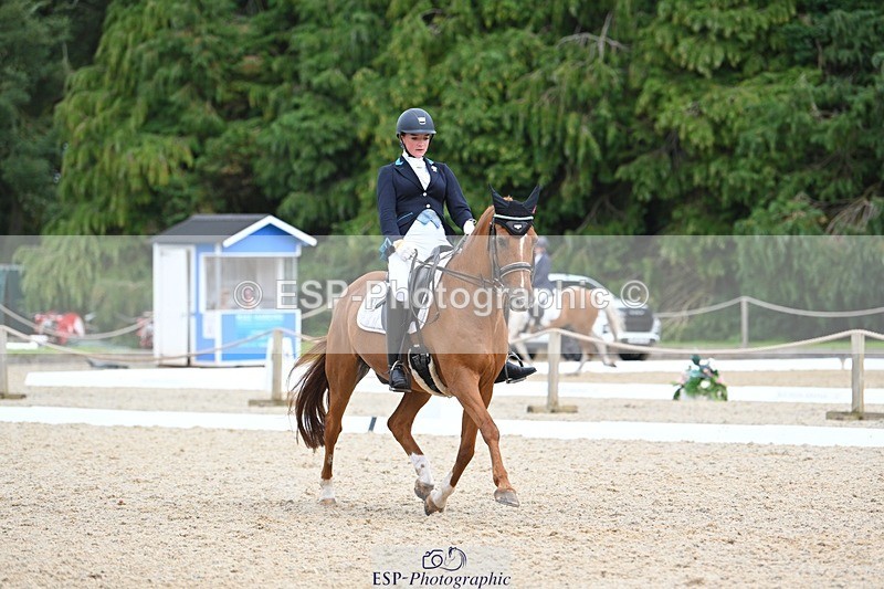 230813-133729-07608 - Cls 13 Medium Bronze 13.15 to End