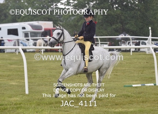 JAC_4111 - 40CM WORKING HUNTER