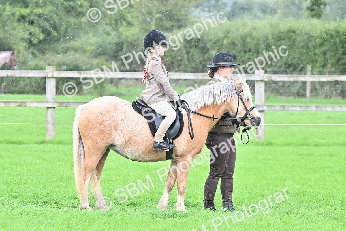 SBM_40109 - S20 - Lead Rein Mountain & Moorland Pony