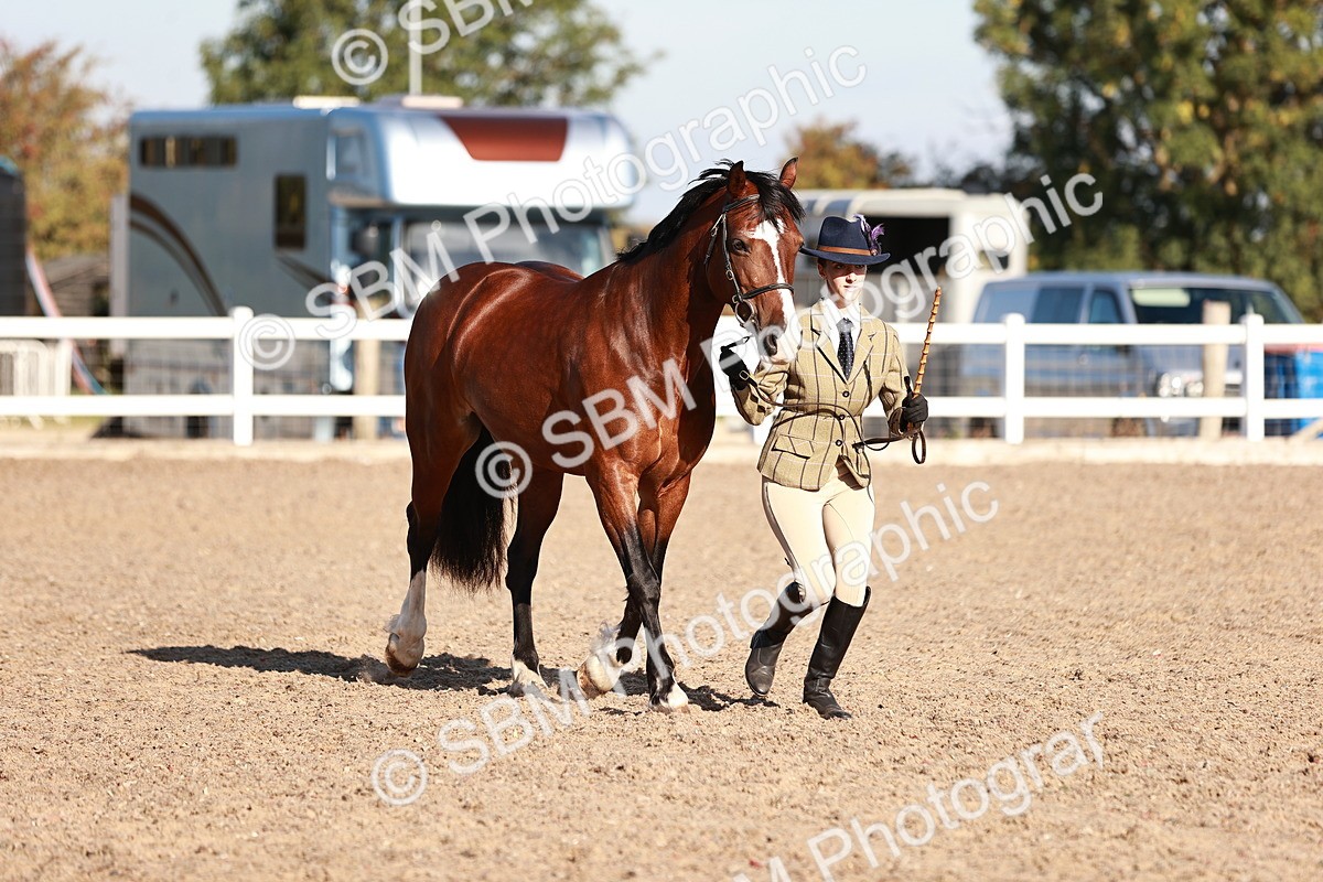 SBM_11420 - Class 402 - IH  Veteran pony