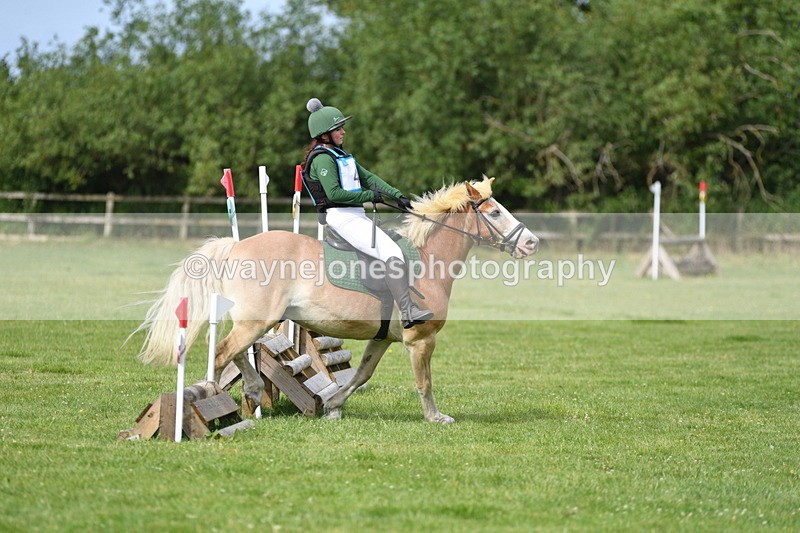 WJ5_2317 - Class 2 40cm