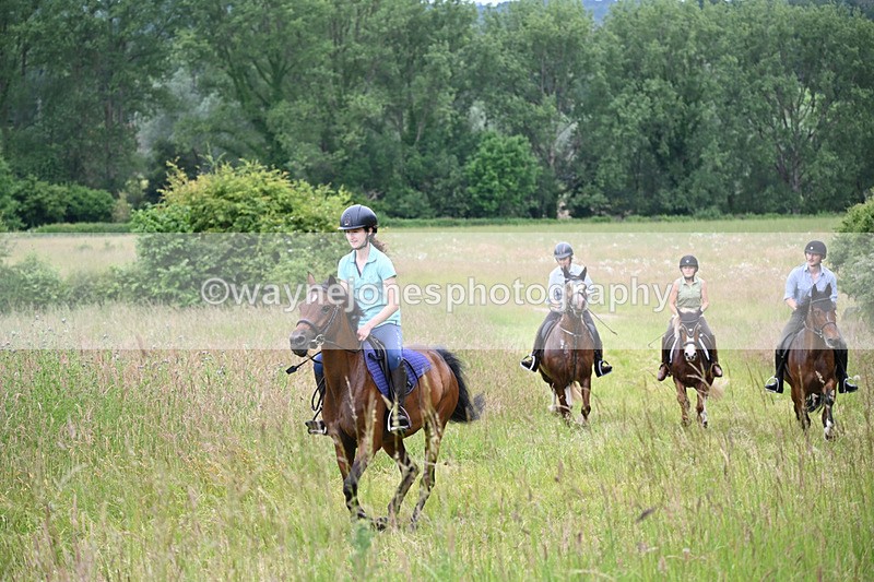 WJ6_8442 - Camera 1 Gallops