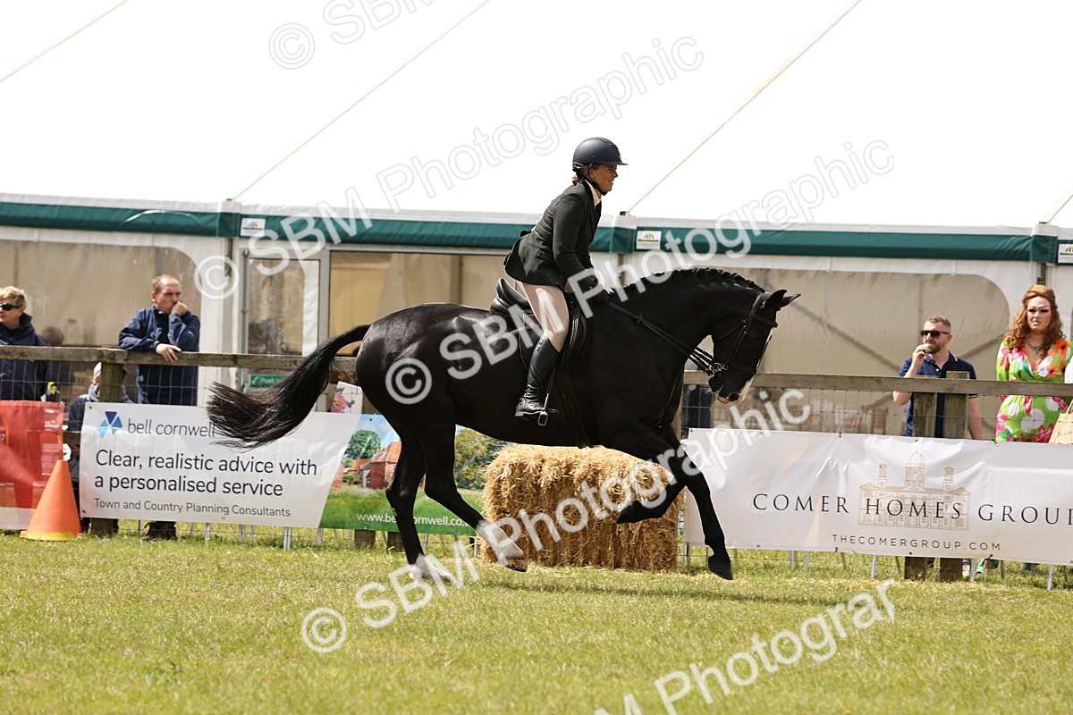 SBM_14584 - Class 88-89 - LIHS BSHA Rising Star of Ridden Hunter Type