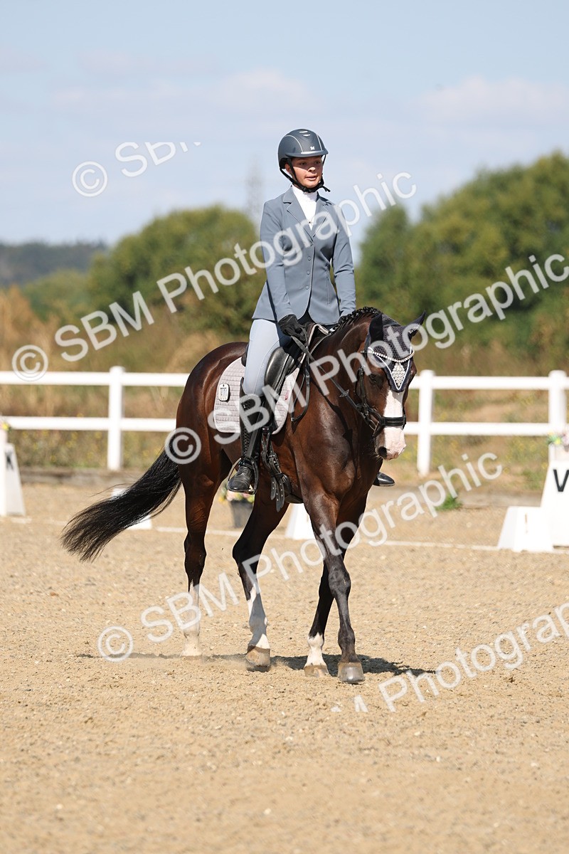 SBM_013619 - Class 1 - P5 Bronze 10.38.12.02