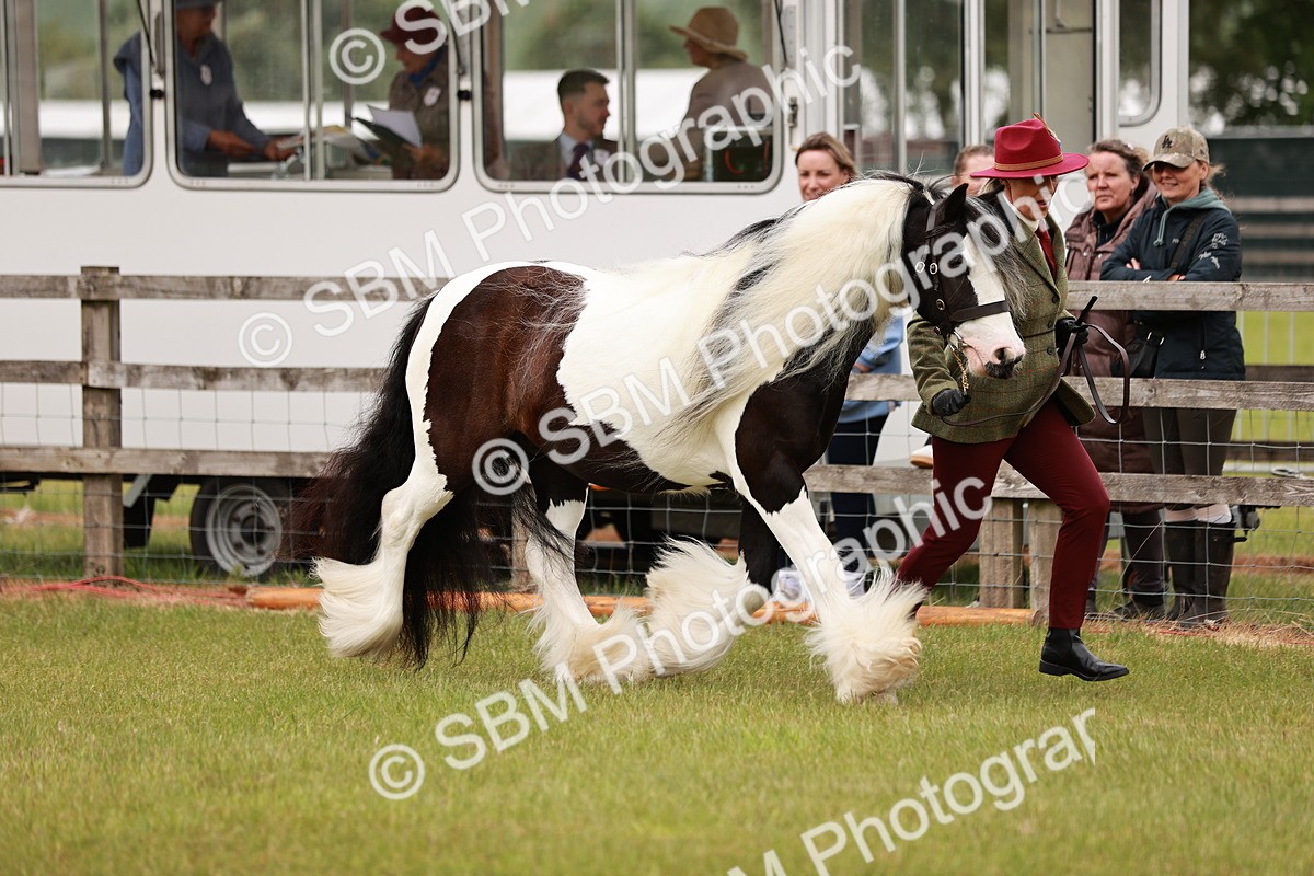 SBM_06023 - Class 39-41 TGCA In Hand and Ridden