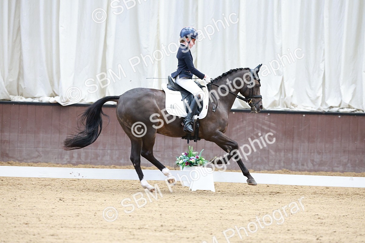 SBM_017115 - Class15 - FEI Pony