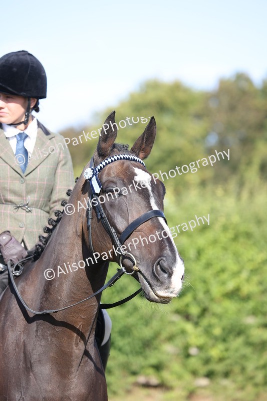 20260906-0399 - Class 14 - Ex Racehorse