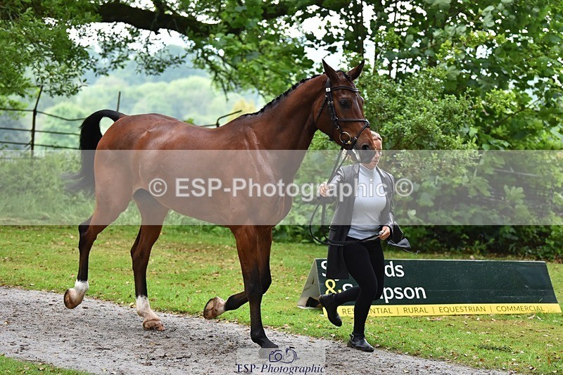 240522-165726-01282 - 229-ROCK_THE_CASPAR-Ali_Wilkes