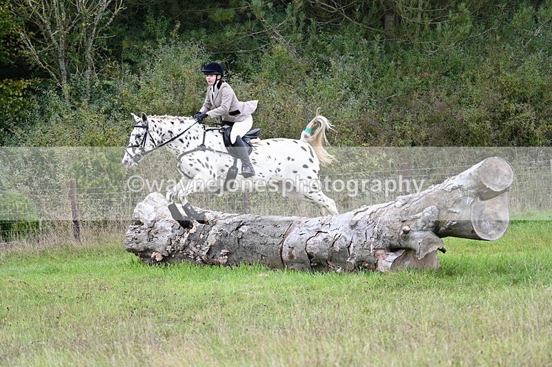 WJ7_3909 - Camera 1 Line 1