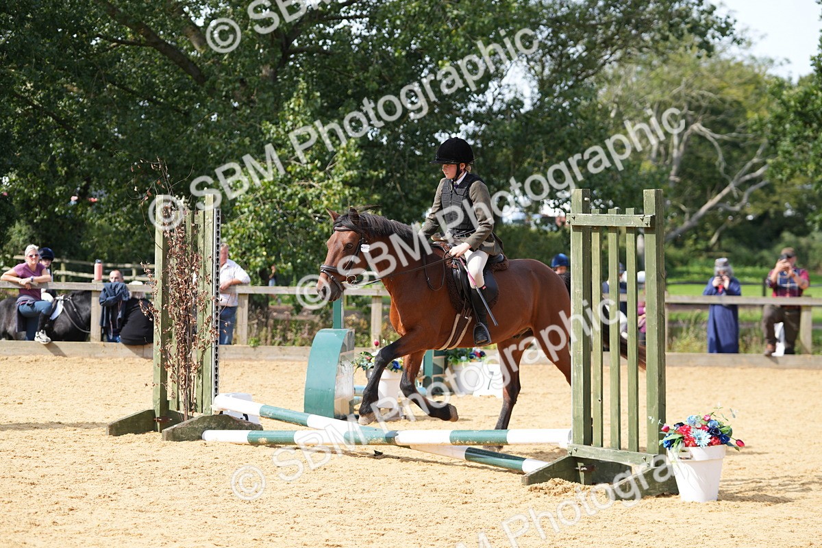 SBM_65815 - J2 - Mini Tour Junior Pony 30cm Championship