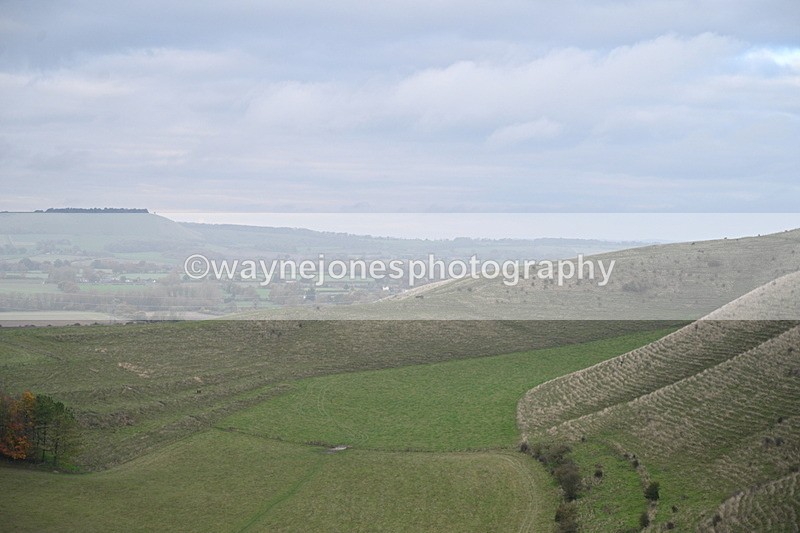WJ7_9708 - Camera 1 & Last fence